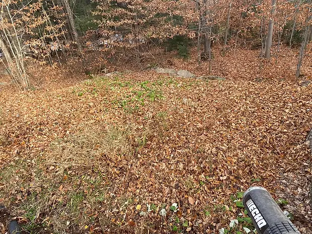 Le bas de la pente couvert de feuilles mortes, les roches du muret qui dépassent à peine, le tube du souffleur au premier plan