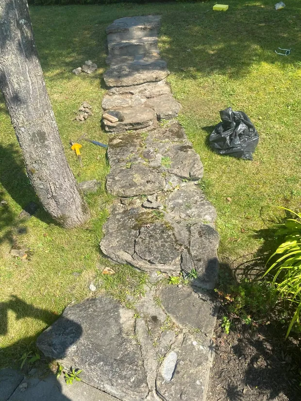 Le bas du chemin au pied d'un arbre : dalles cassées, enfoncées, à moitié cachées dans le gazon