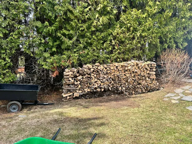 Longue corde de bois montée à même le sol le long d'une haie de cèdres, remorque et brouette à côté