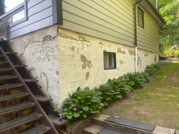 Vieux crépi jaune pâle qui s'écaille par plaques sur la fondation, rangée d'hostas au pied du mur
