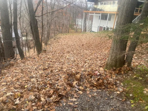 Pente boisée sous la maison blanche, disparue sous un tapis de feuilles mortes jusqu'au gravier